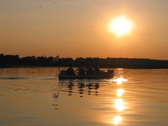 Jung-Club im Sonnenuntergang auf der Elbe