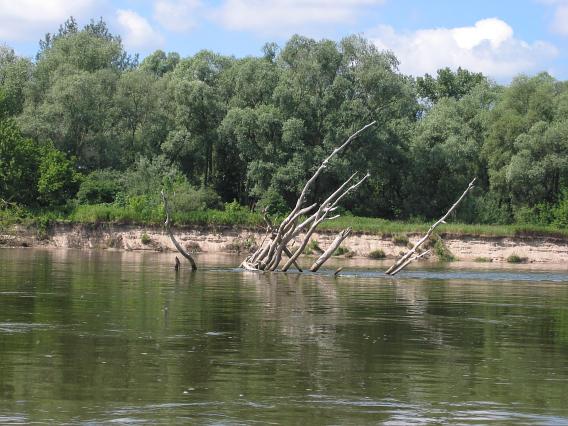 Weichsel hinter Mniszew