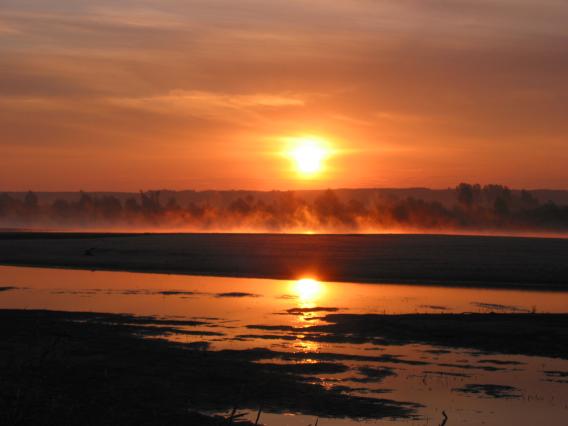 Sonnenaufgang über der Weichsel bei Slupia Nadbrzena