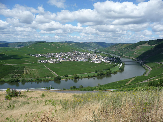 Moselschleife bei Trittenheim