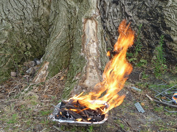 Grillen am Trebelsee