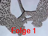 Folge 1